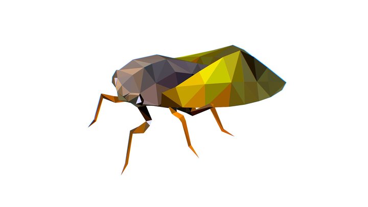 Animated Cicada Lowpoly Art Style 3D Model