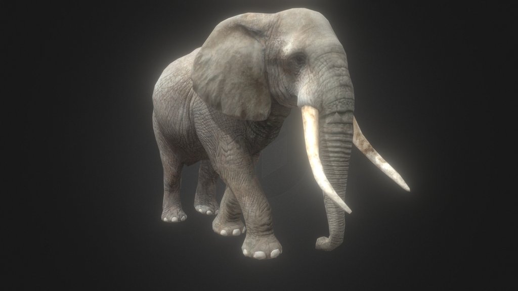 African Elephant (By jimmyho905)