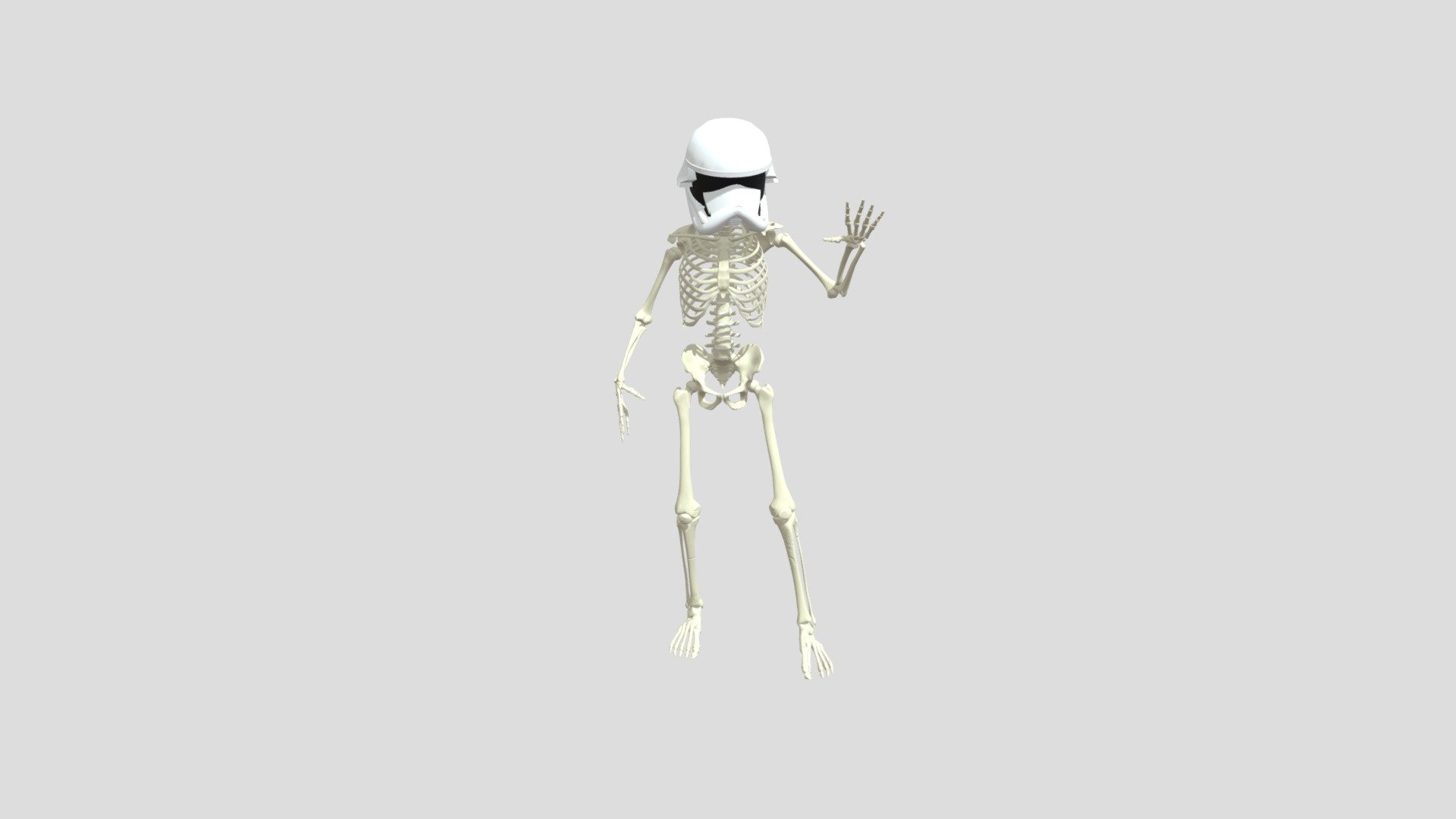 Storm-trooper skeleton
