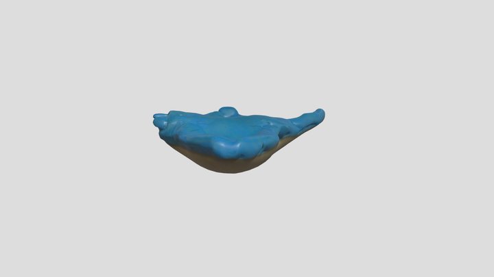 Bob the Manta Ray – Kostenloses 3D-Modell STL