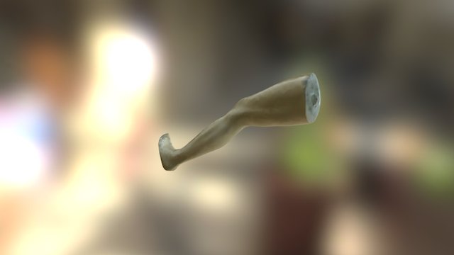 Mannequin Leg Lowpoly 3D Model