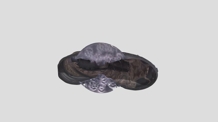Salomon Texturado Quick scan 3D Model