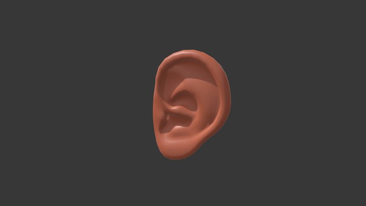 Human ear_01 3D Model