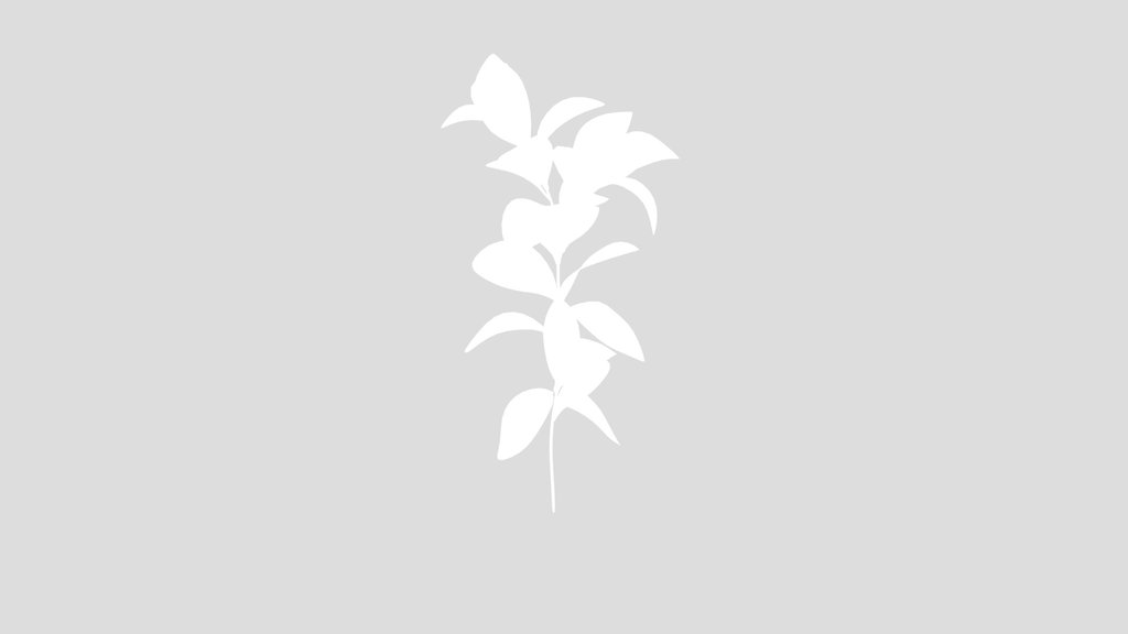 Stylized Grass Grass Long