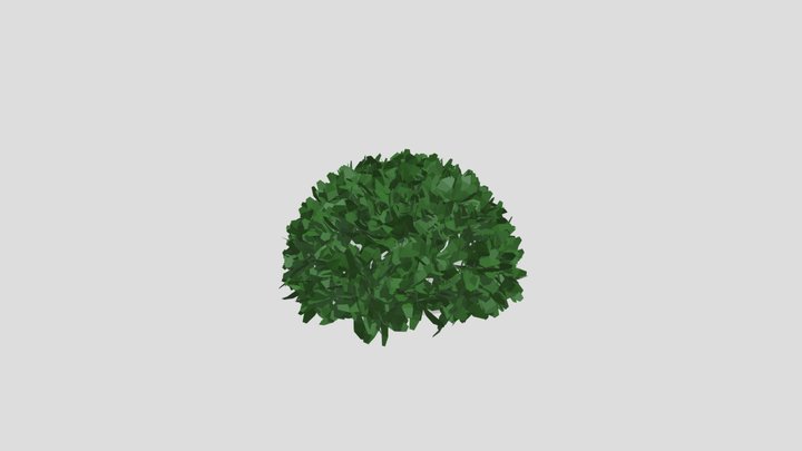 bush