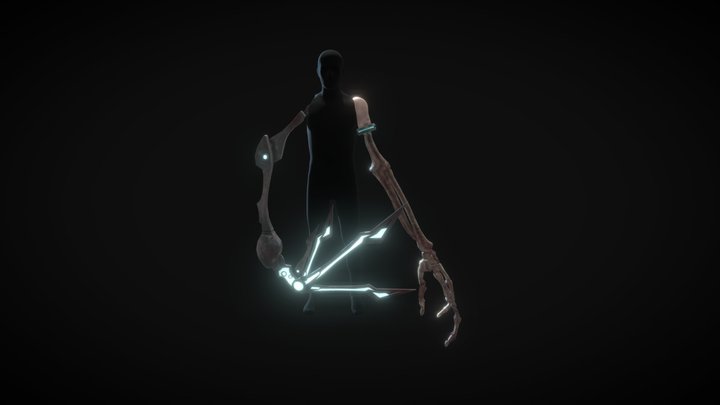 calnecaarmswithstand 3D Model
