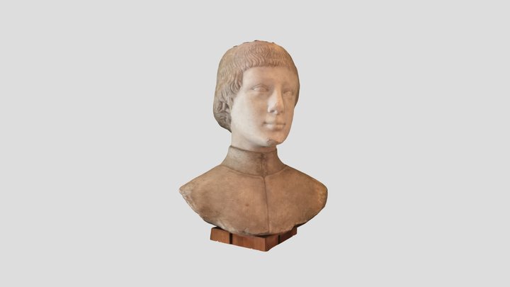 Head of a young man 3D Model