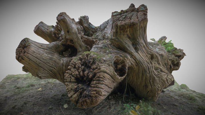 Decorative tree trunk 3D Model
