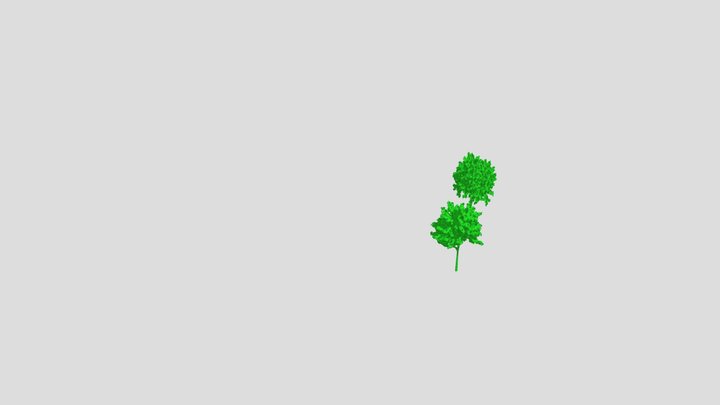 Trees 3D Model