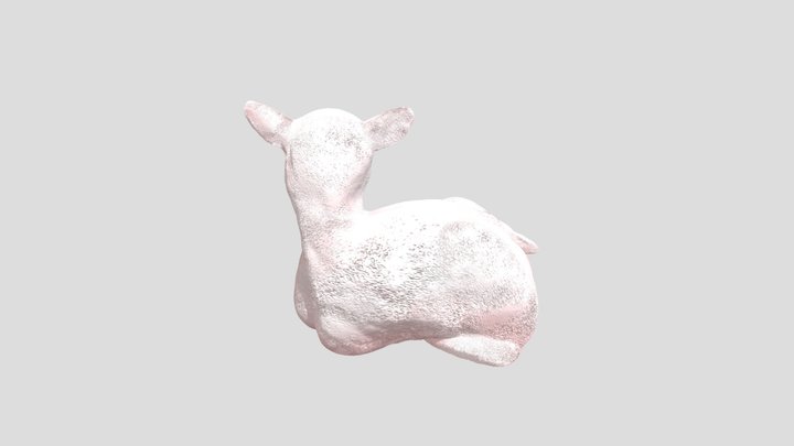 My model 3D Model