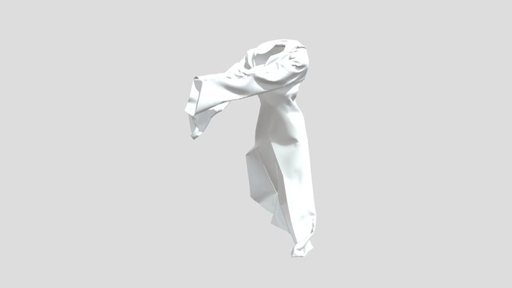 Cloak of Death 3D Model