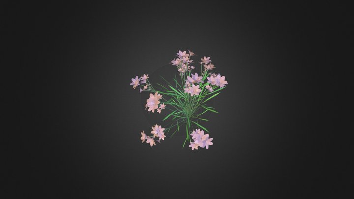 plants 3D Model