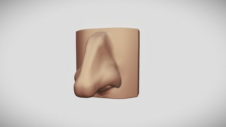 Nose