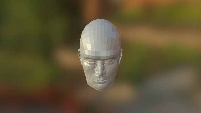 Male Head - First Test 3D Model