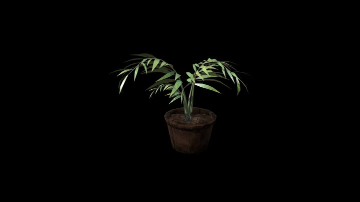 Areca Palm Lowpoly 3D Model