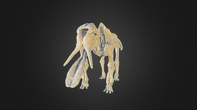 Chrome Dino Game 3D - A 3D model collection by MayMax - Sketchfab