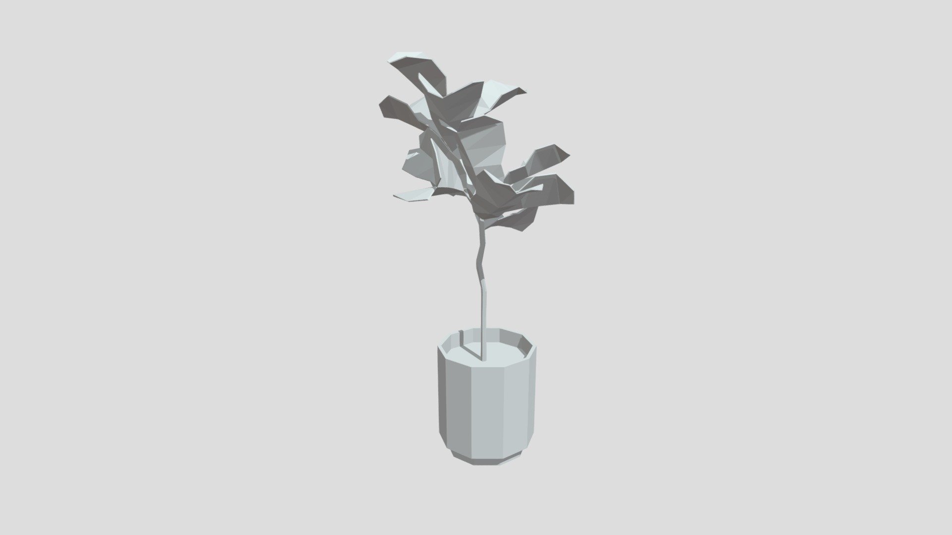 Fiddle-leaf Plant from Poly by Google