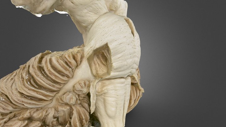 5 3D Model