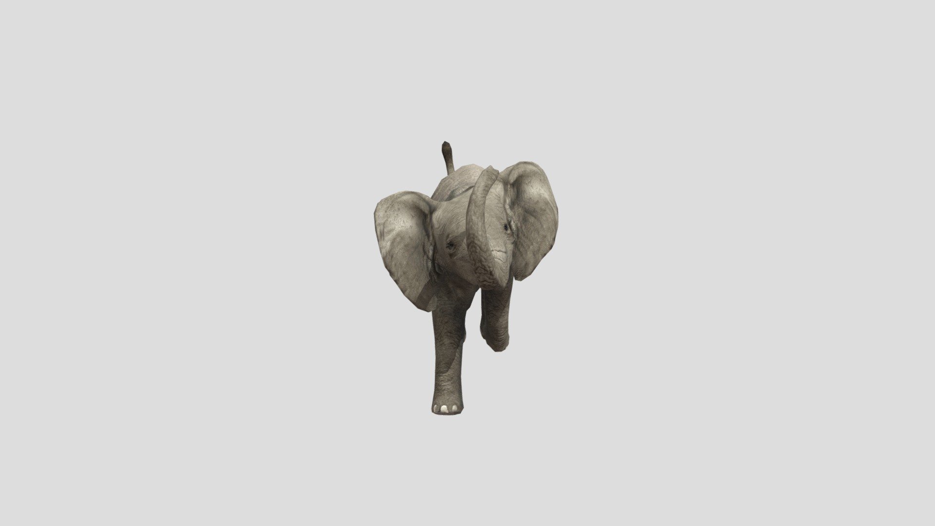 Baby- Elephant
