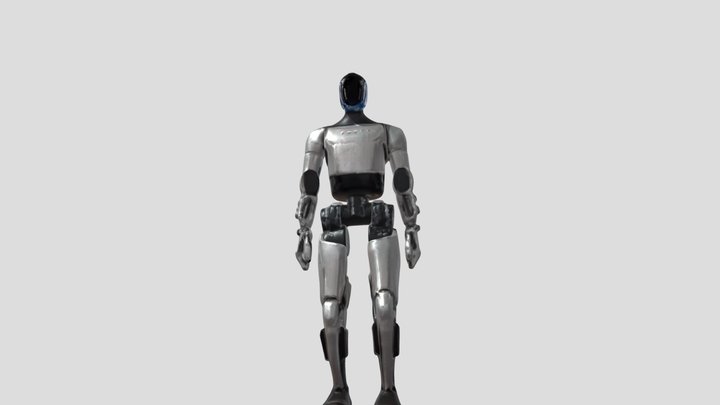 Tesla Bot 3D Model