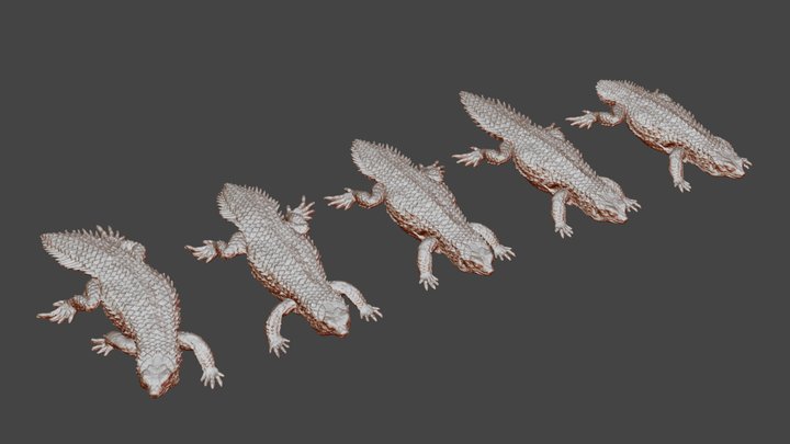 Gidgee Skink - Variations 3D Model