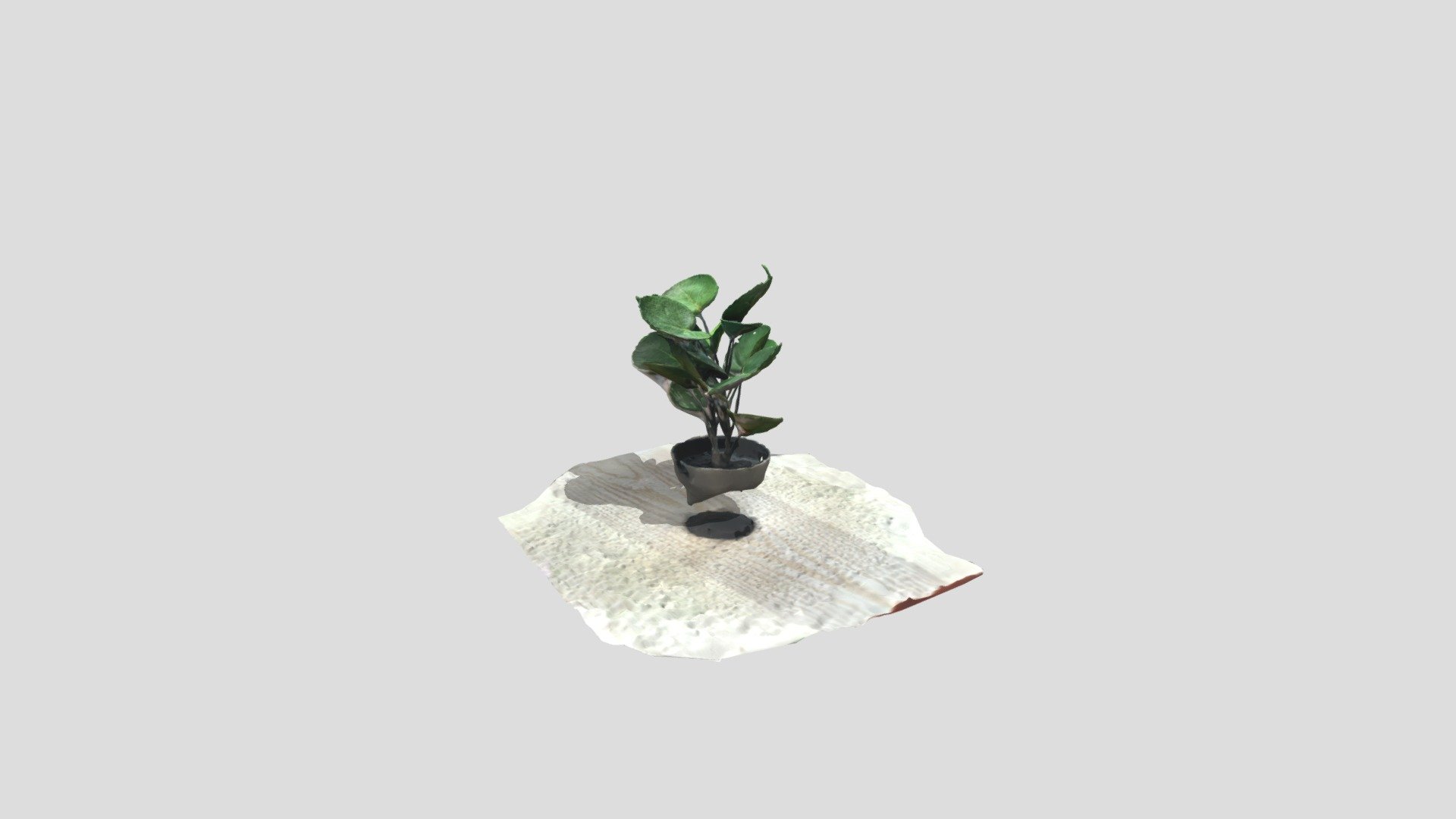 Fake plant photogrammetry Download Free 3D model by NickFin [275a5cd] Sketchfab