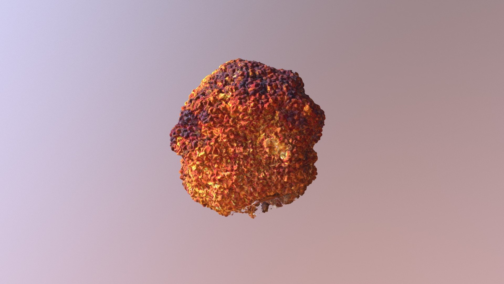 Maclura pomifera ("Osage orange")