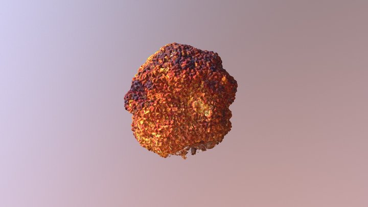 Maclura pomifera ("Osage orange") 3D Model
