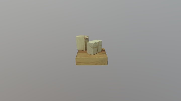 Photogrammetry Test 2 3D Model