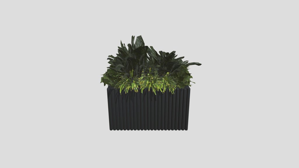 Indoor Plant Box B