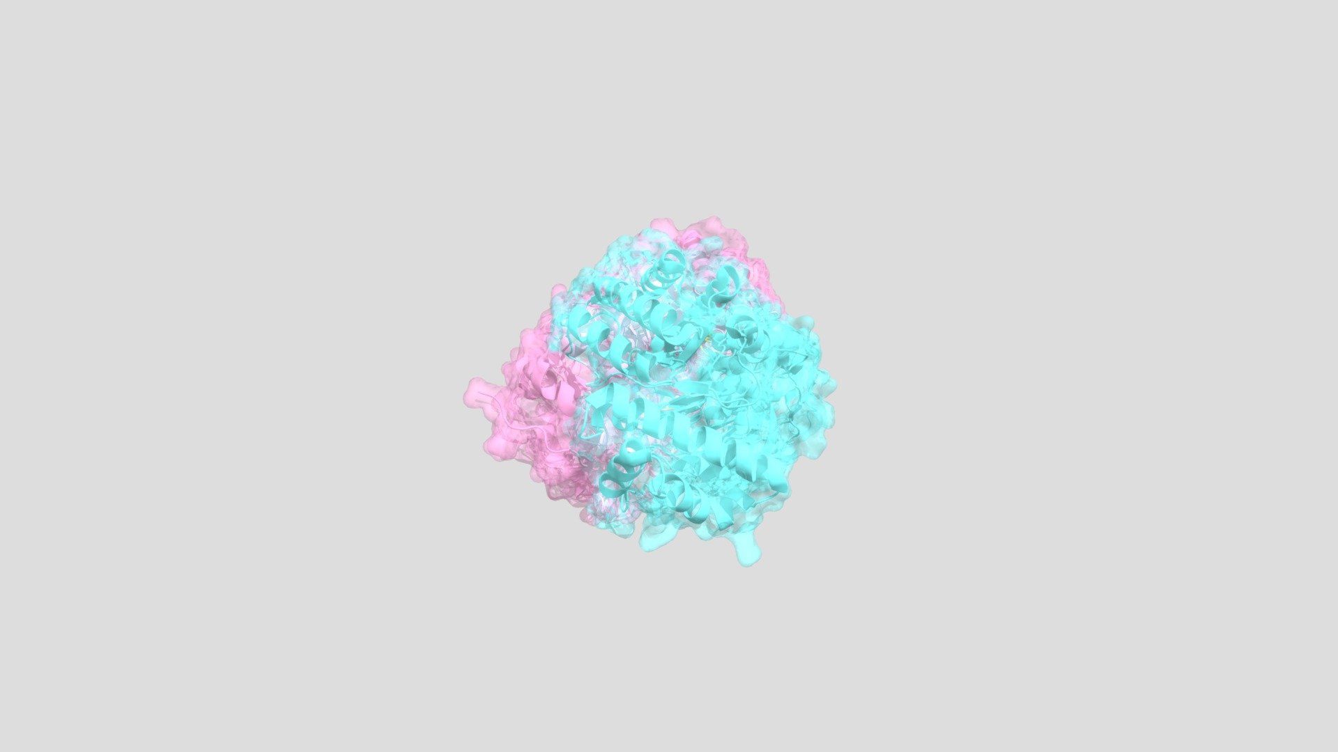 BIOL244 Rubisco Assignment - 3D model by samueldonoghue [276486c ...