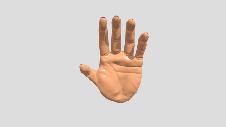 Human Hand 3D Model