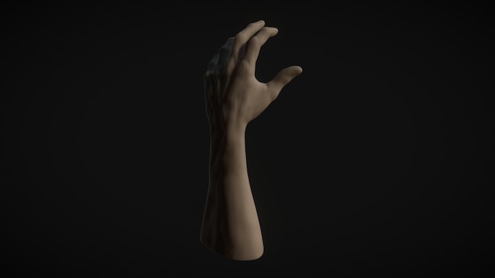 Hand 3D Model