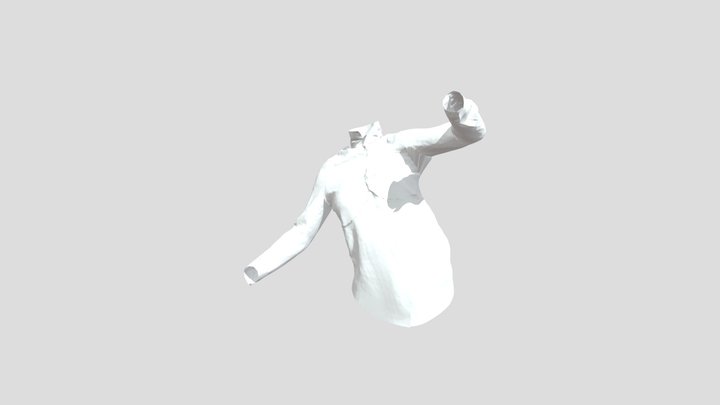 Shirt 3D Model