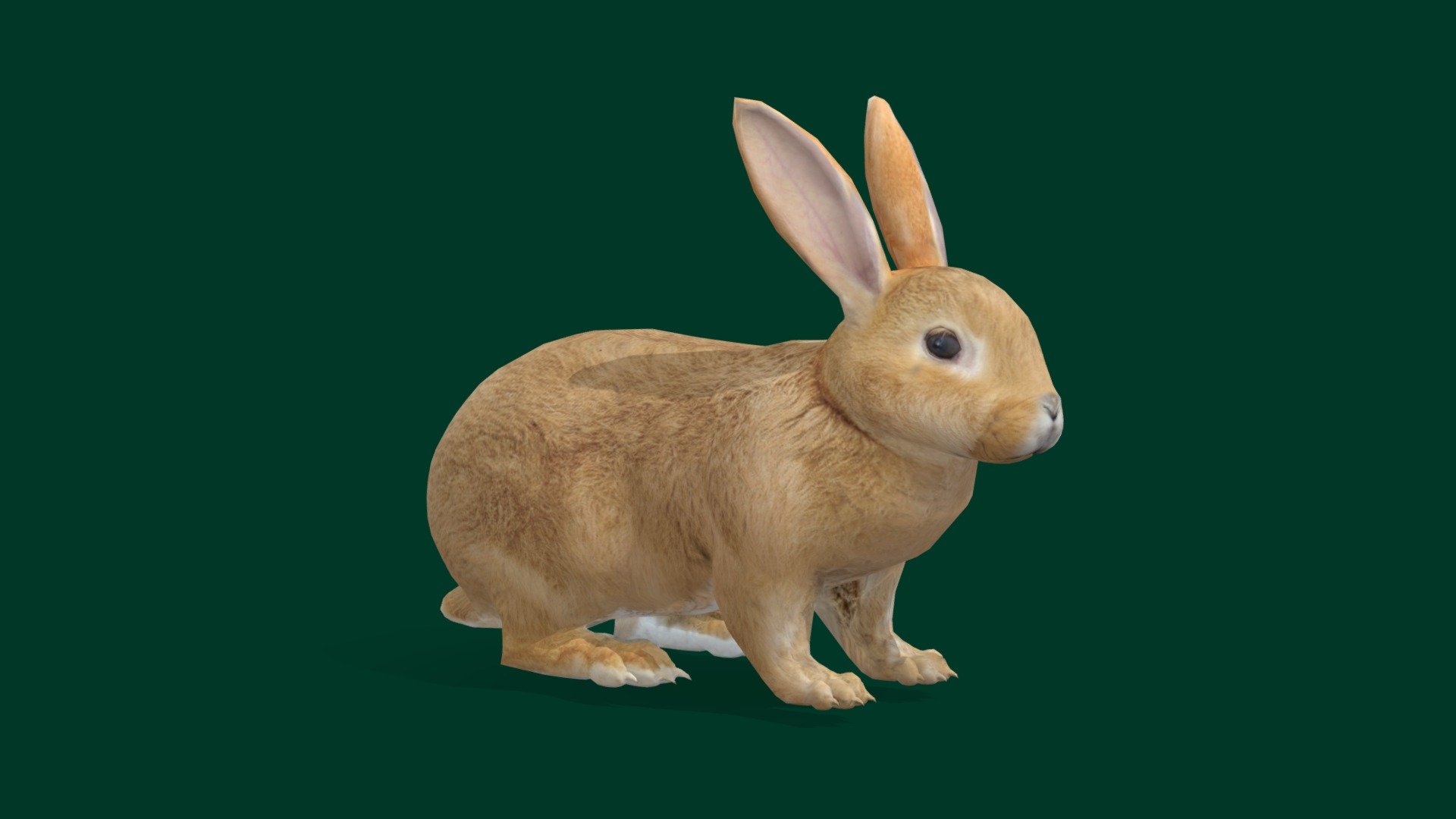 Brown Bunny Rabbit 🐰 (Lowpoly) - Buy Royalty Free 3D Model By ...