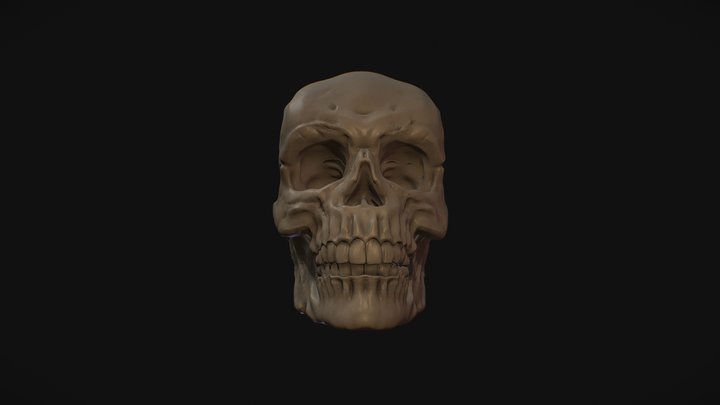 Ejercicio2_1_Skull_Maddi 3D Model