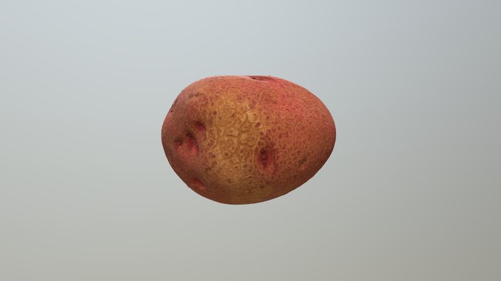 Potato_Netting 3D Model