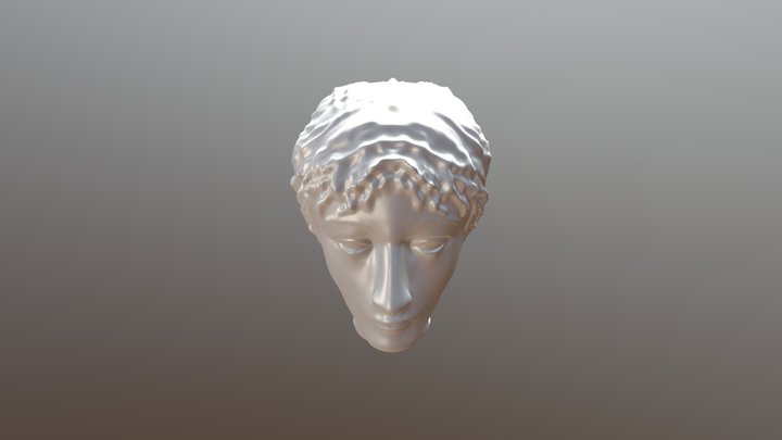 Head 3D Model