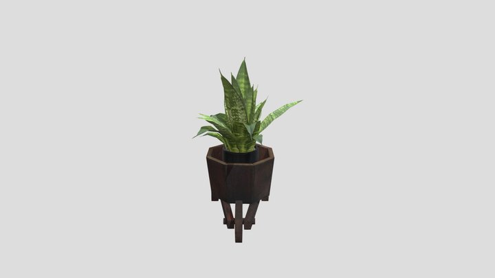Vase Wheelbarrow Sansevieria 3D Model