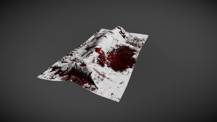 Murder Scene Cloth Body 3D Model