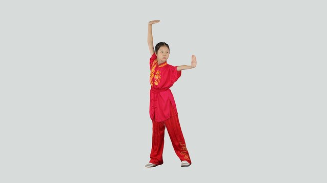 Huang Jia Hui WuShu 2016 3D Model