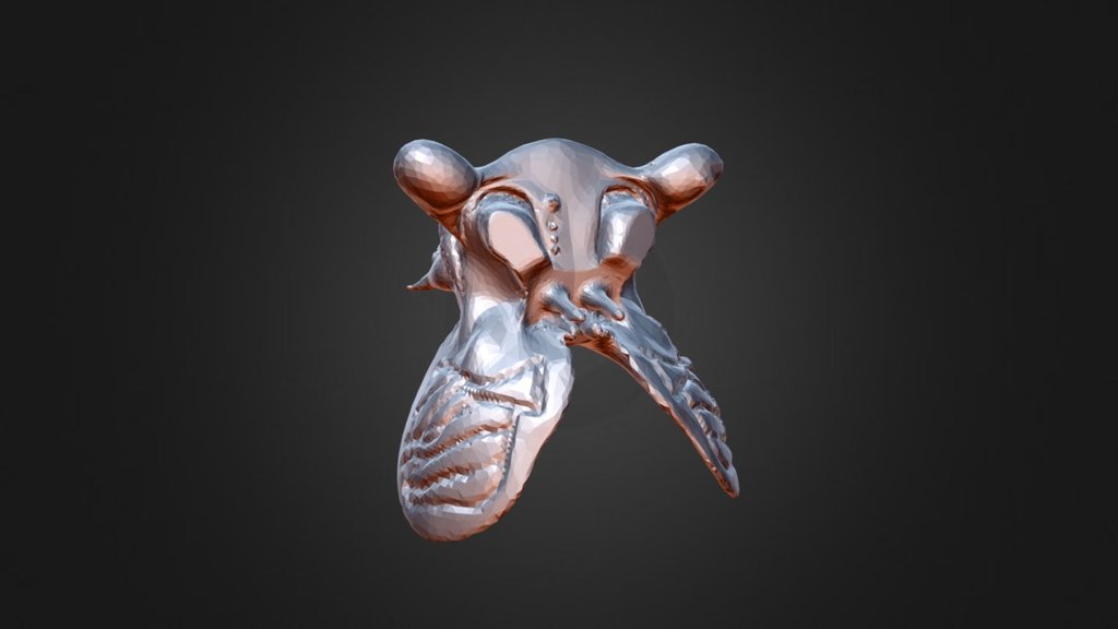 THE FLY alien - Download Free 3D model by narnenkogosha [2779acd ...