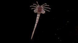 Neomorph - 3D model by aaron.ludena [1f53740] - Sketchfab