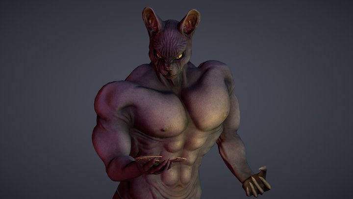 catman 3D Model
