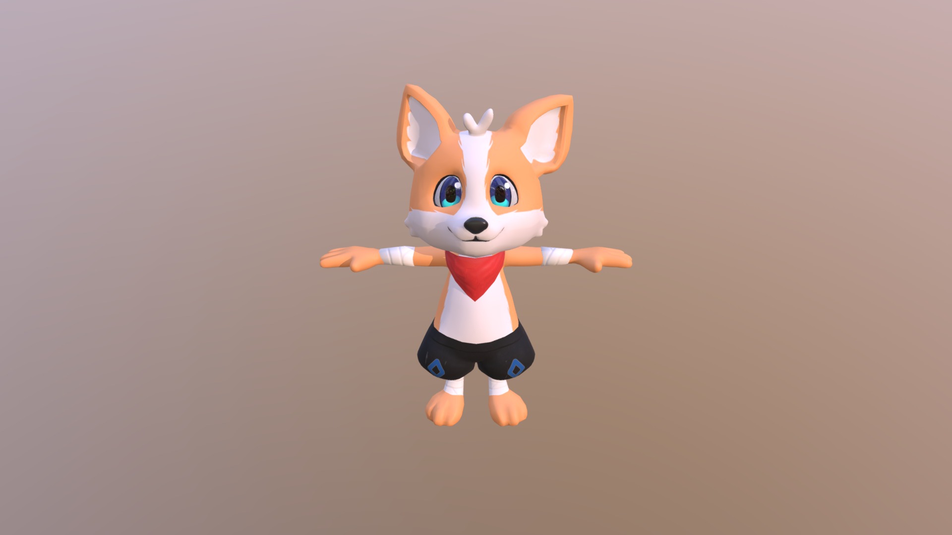 Corgi roupa