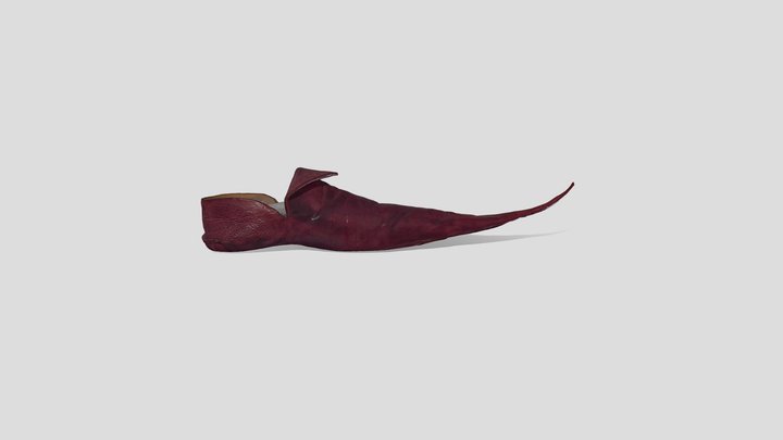 Chaussure poulaine 3D Model