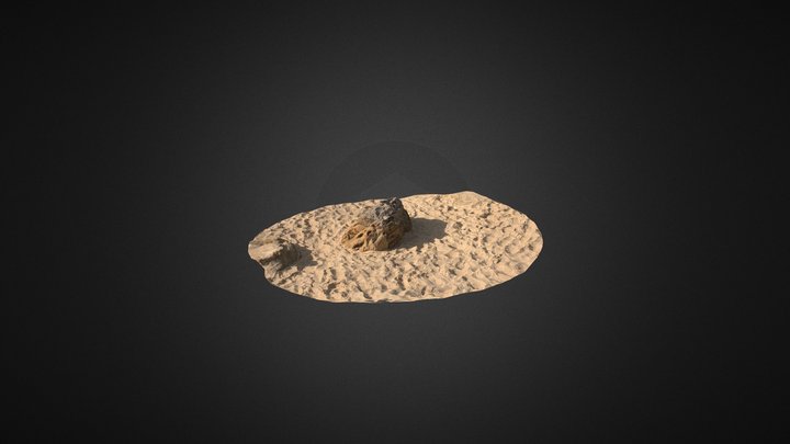 Rocks scan 3D Model
