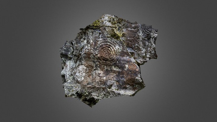 Petroglifo de la Zarza (1) 3D Model