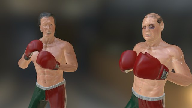 Imaran and Nawaz Boxing 3D Model