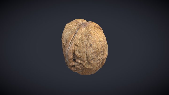 Nut_08 3D Model